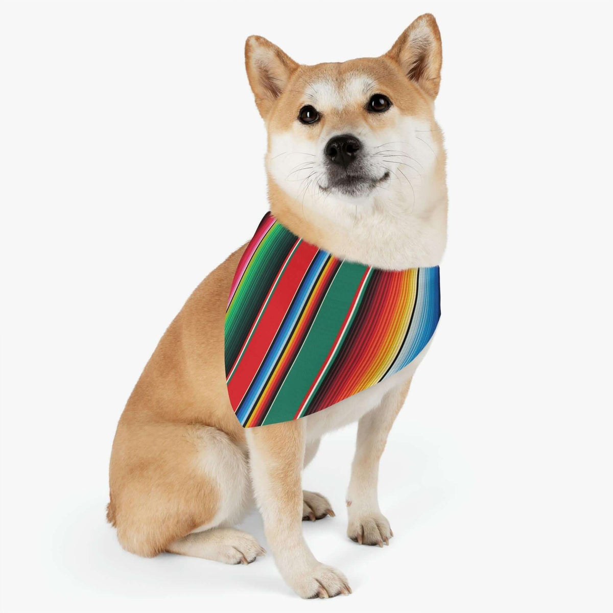 Serape Pet Bandana Collar